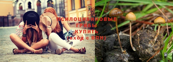 гидра Волоколамск